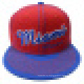 Бейсбольная кепка Camo с логотипом Bbnw30